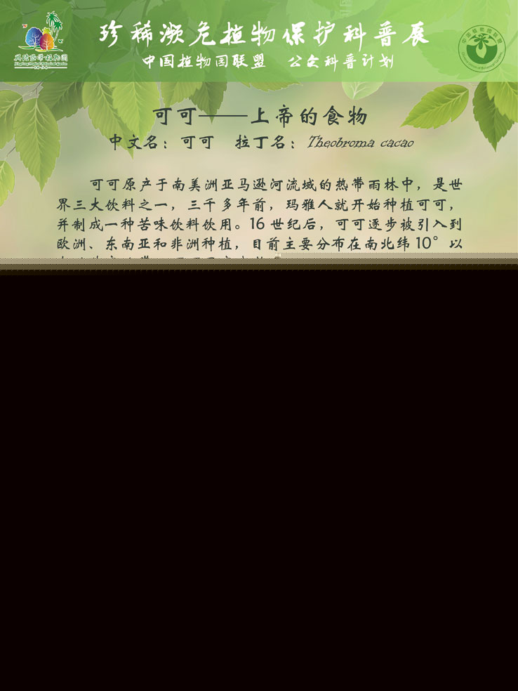 珍稀濒危植物?；た破照?可可-上帝的食物